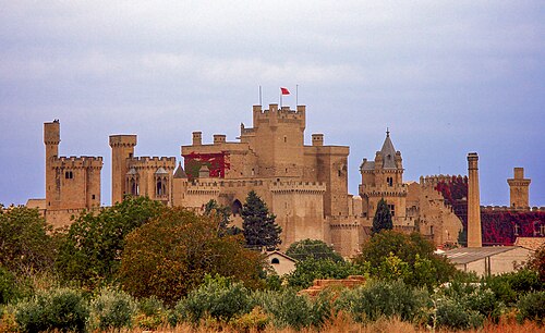 Castillo de Olite